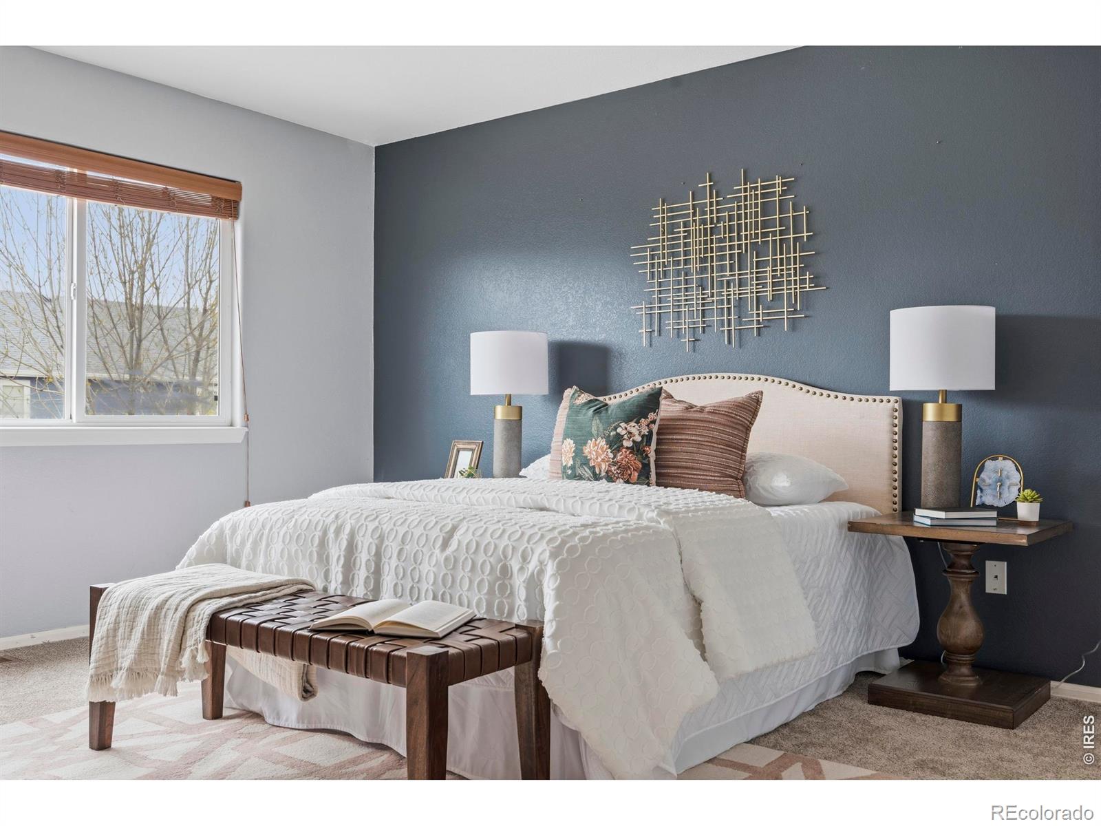 MLS Image #16 for 2468  milton lane,fort collins, Colorado