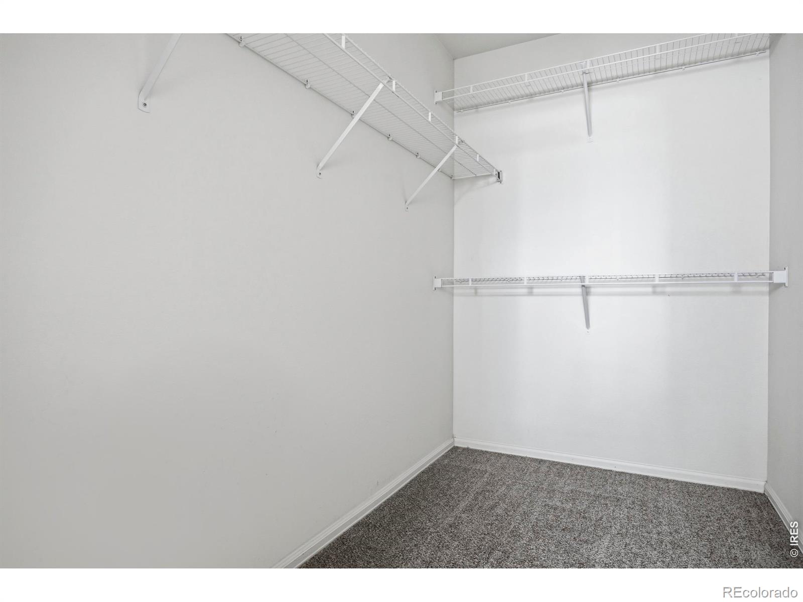 MLS Image #19 for 2468  milton lane,fort collins, Colorado