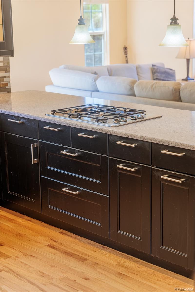 MLS Image #16 for 2513  falcon drive,longmont, Colorado