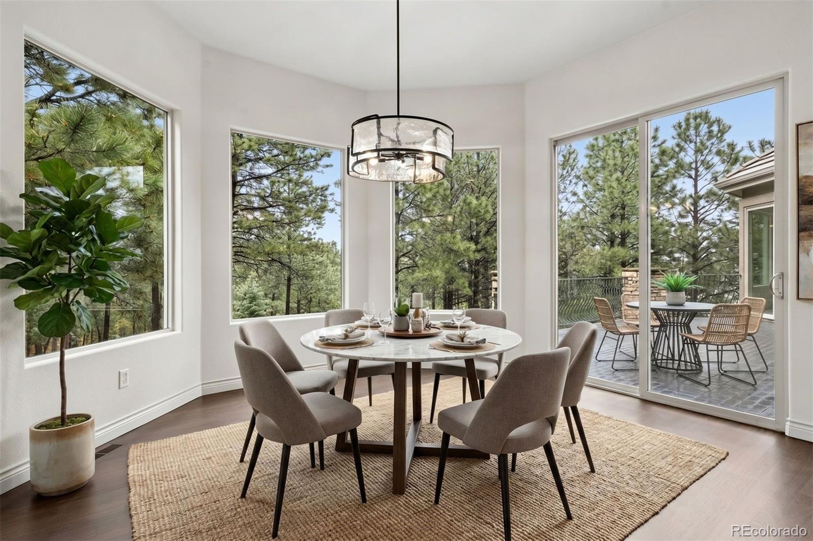 MLS Image #4 for 715  silver oak grove,colorado springs, Colorado