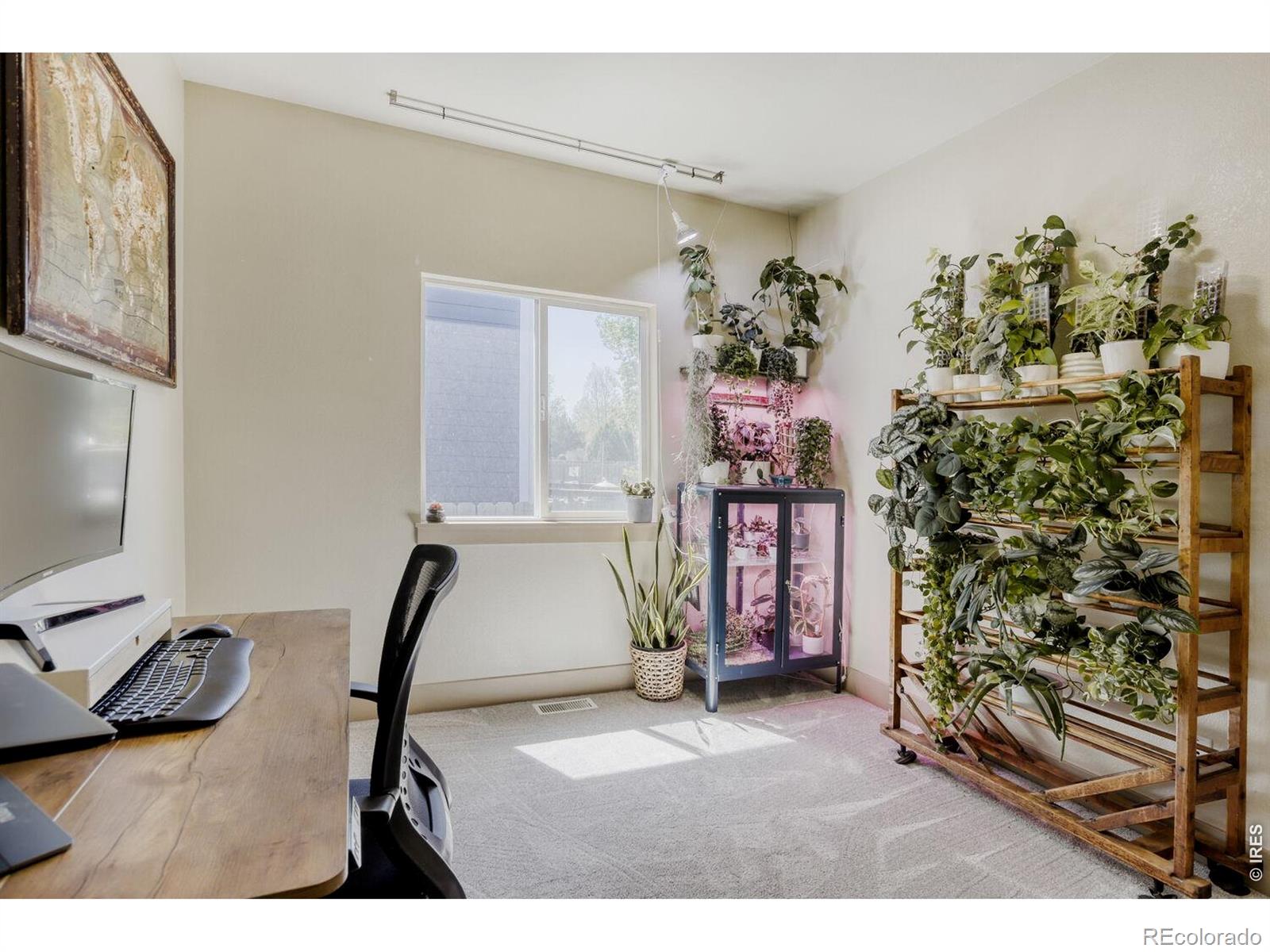 MLS Image #8 for 1909  mahogany way,severance, Colorado