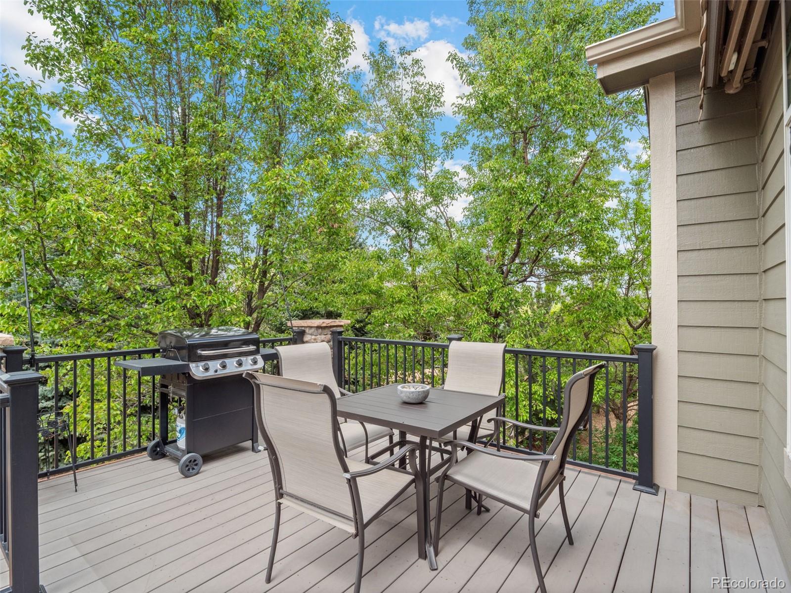 MLS Image #10 for 5933  mcintyre court,golden, Colorado