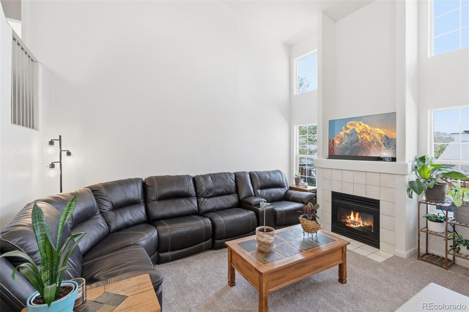 MLS Image #6 for 5269  nighthawk parkway,brighton, Colorado