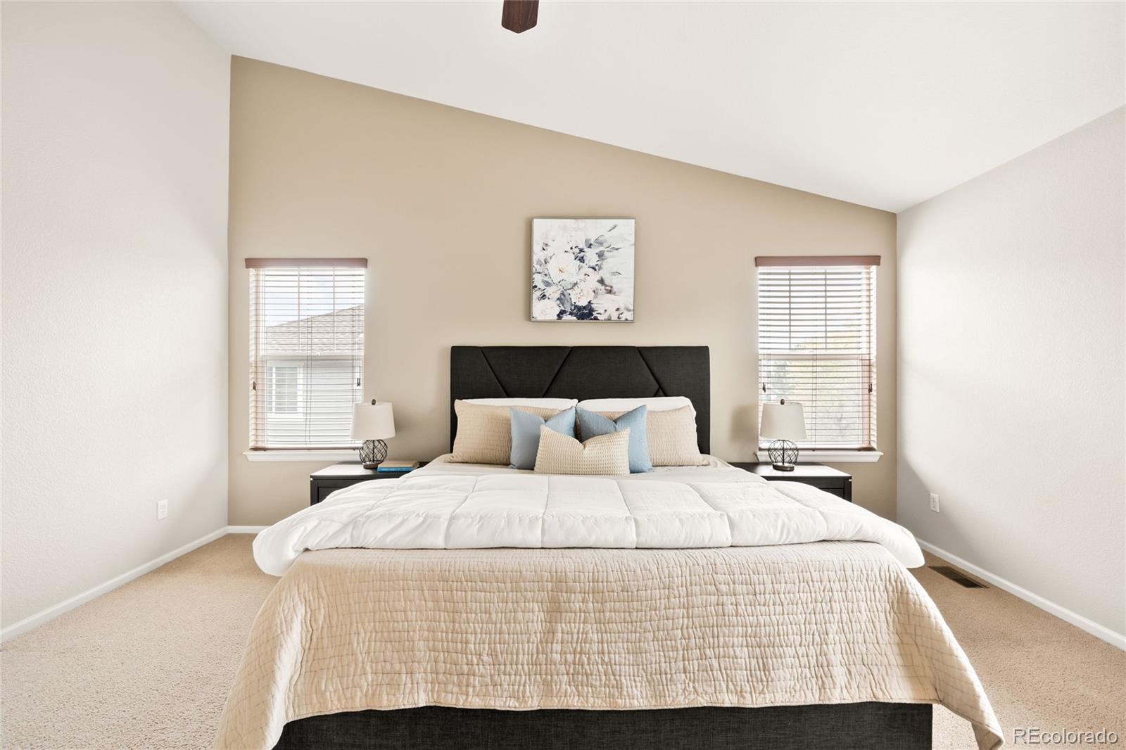 MLS Image #20 for 4028  eagle tail lane,castle rock, Colorado