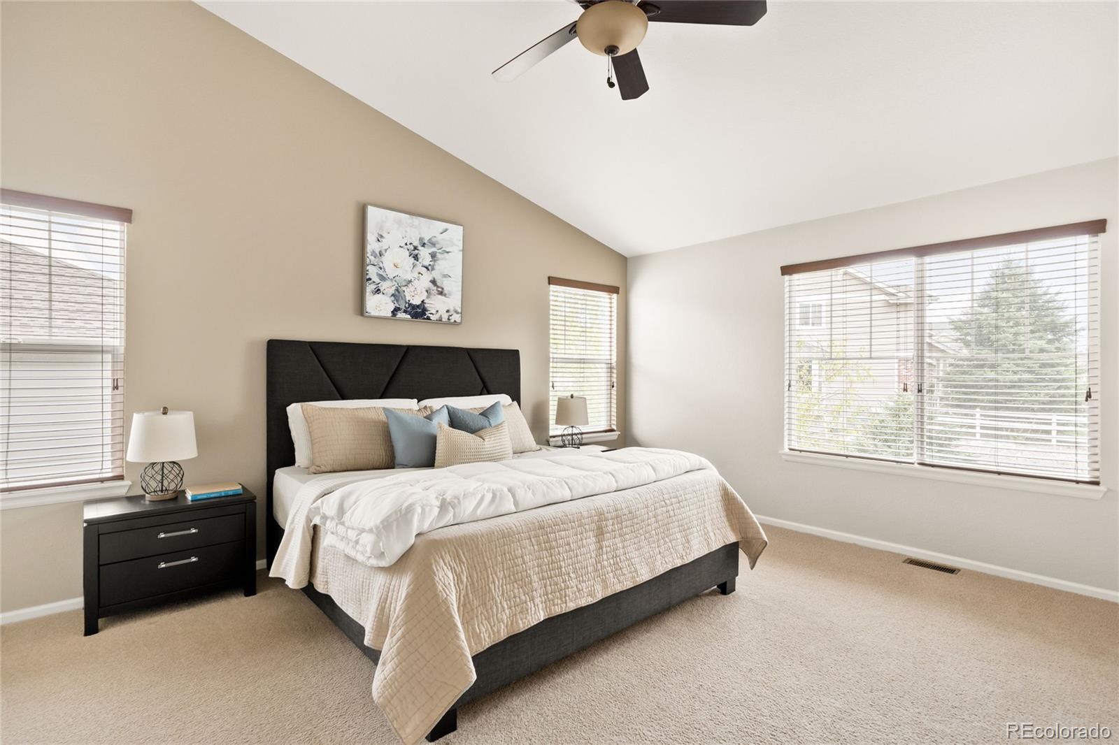 MLS Image #22 for 4028  eagle tail lane,castle rock, Colorado