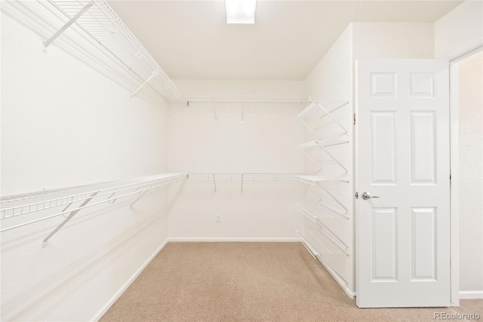 MLS Image #26 for 4028  eagle tail lane,castle rock, Colorado