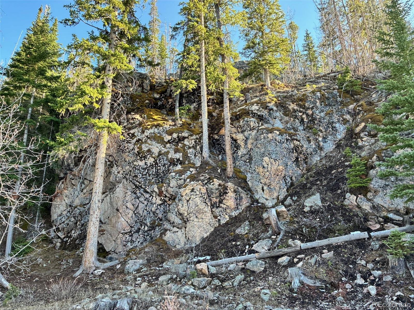 MLS Image #27 for 1423  grand county road 697 ,grand lake, Colorado