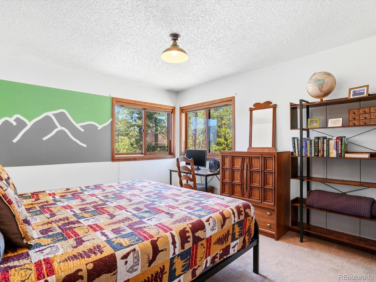 MLS Image #15 for 475  holmes gulch road,bailey, Colorado