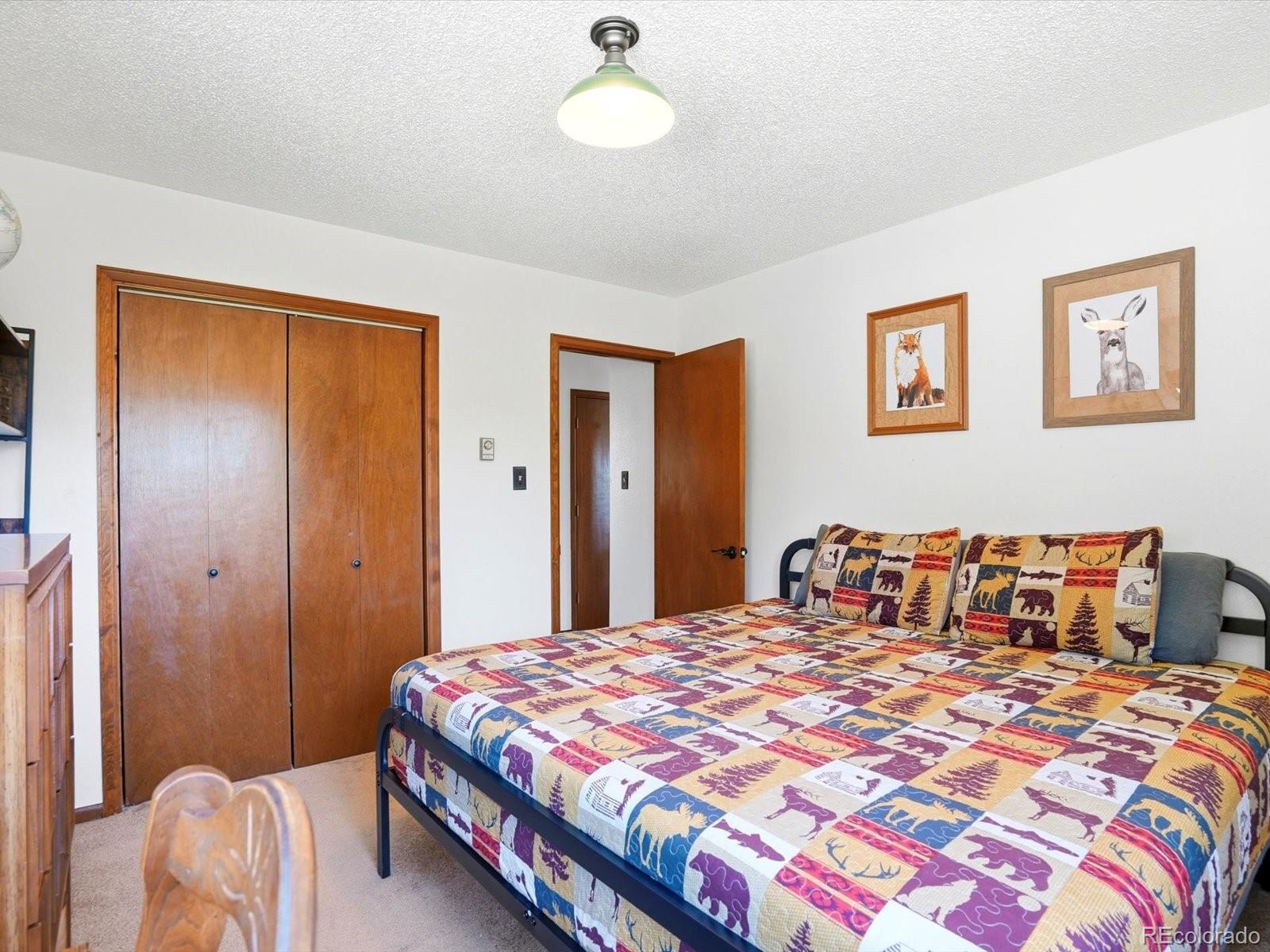 MLS Image #16 for 475  holmes gulch road,bailey, Colorado