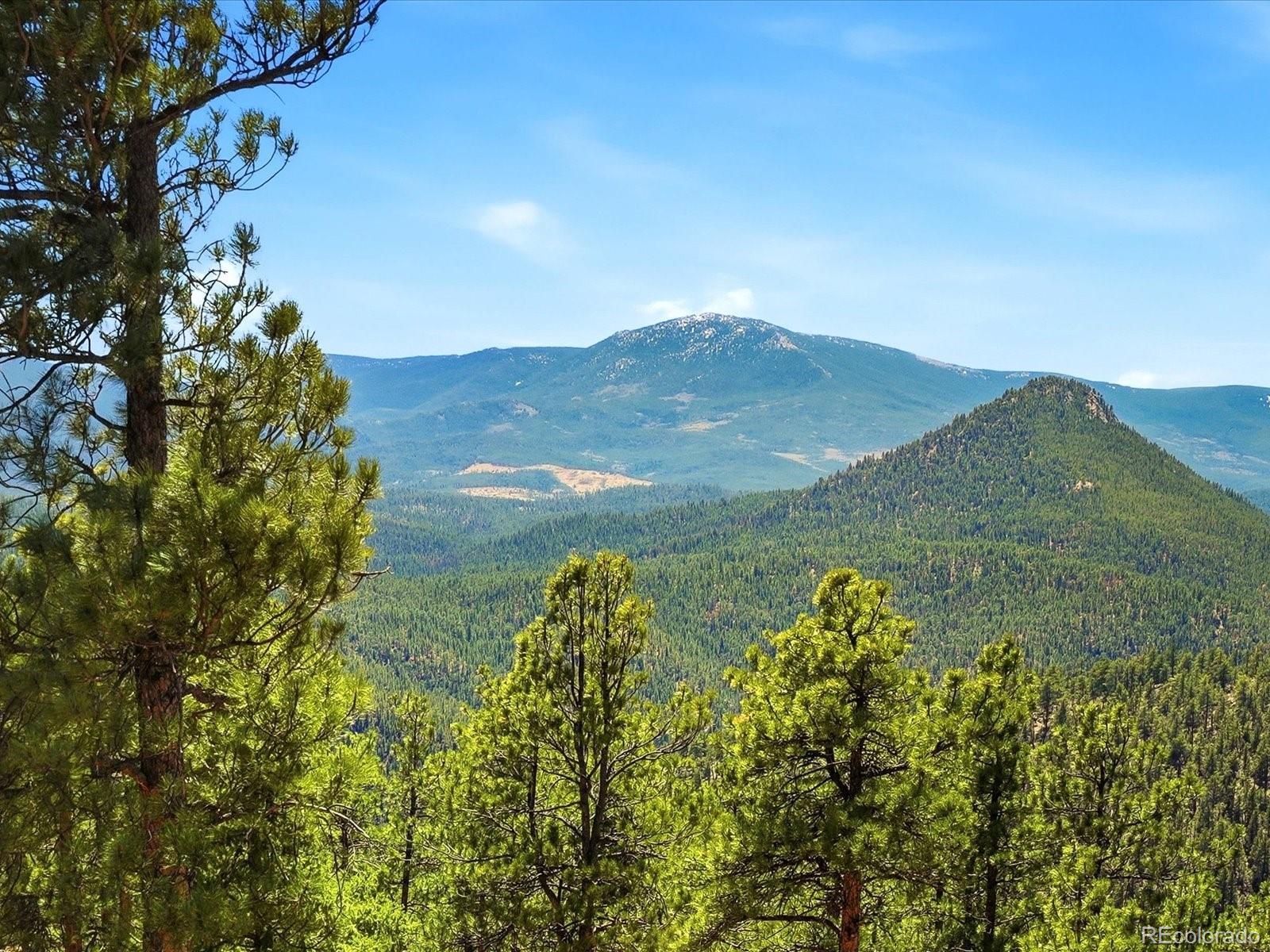 MLS Image #22 for 475  holmes gulch road,bailey, Colorado
