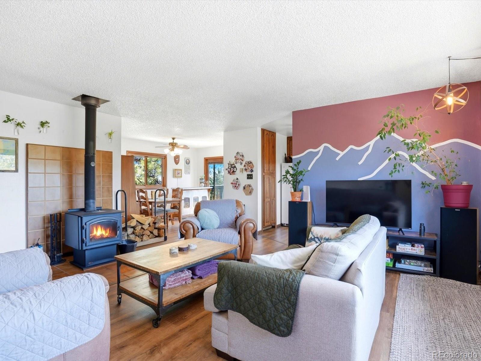 MLS Image #4 for 475  holmes gulch road,bailey, Colorado