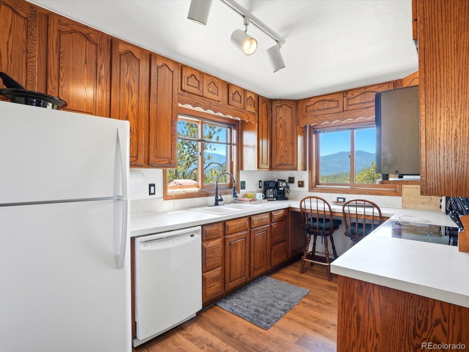 MLS Image #8 for 475  holmes gulch road,bailey, Colorado