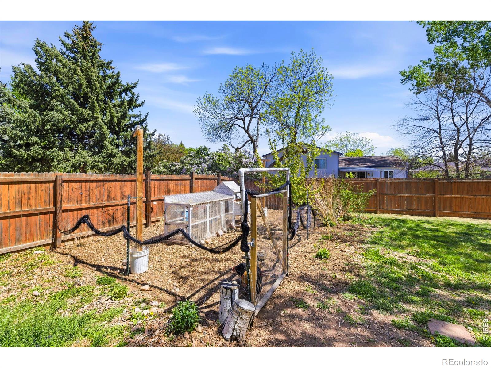 MLS Image #30 for 3212  sam houston circle,fort collins, Colorado