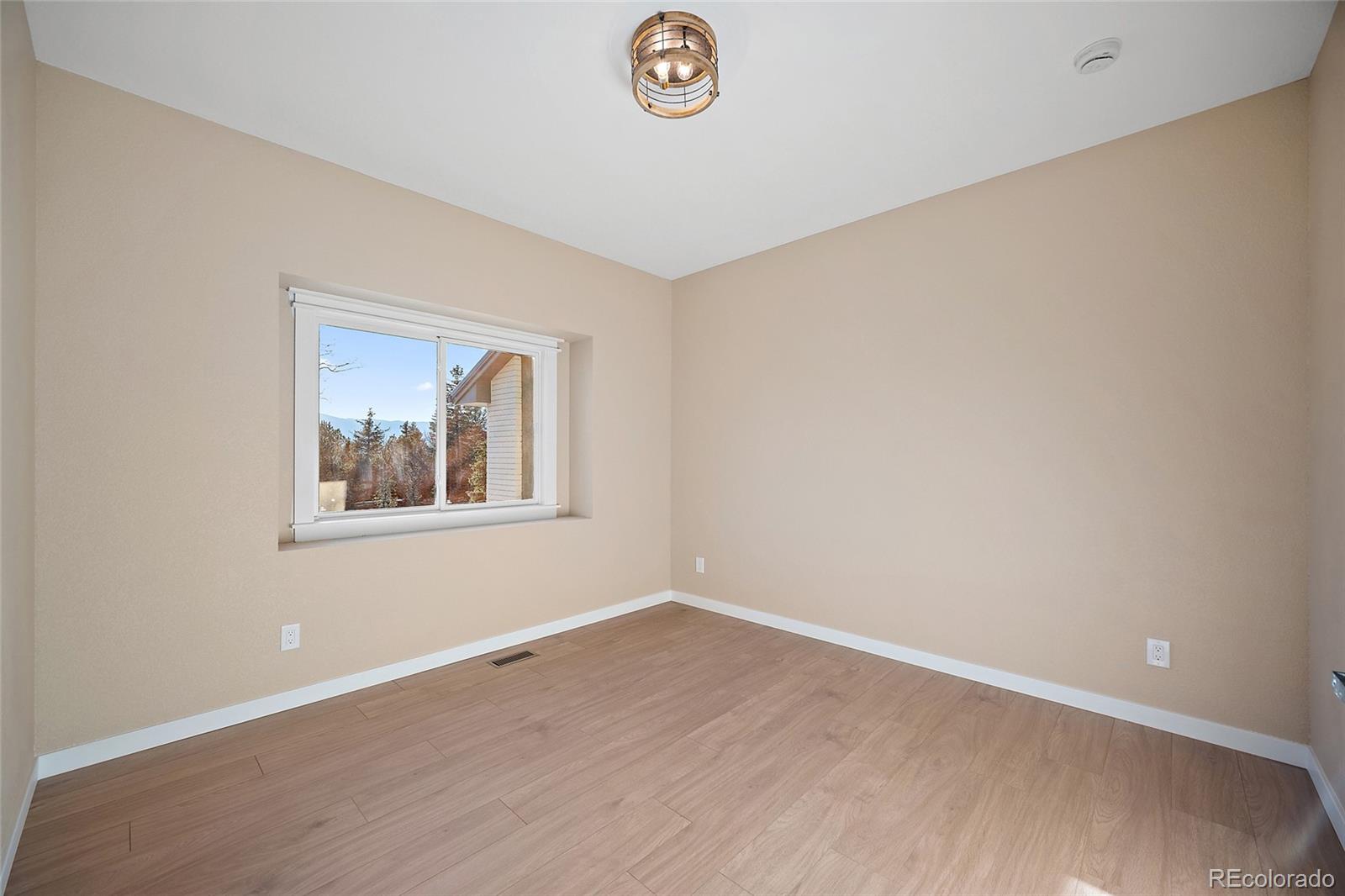 MLS Image #19 for 250  wuthering heights drive,colorado springs, Colorado