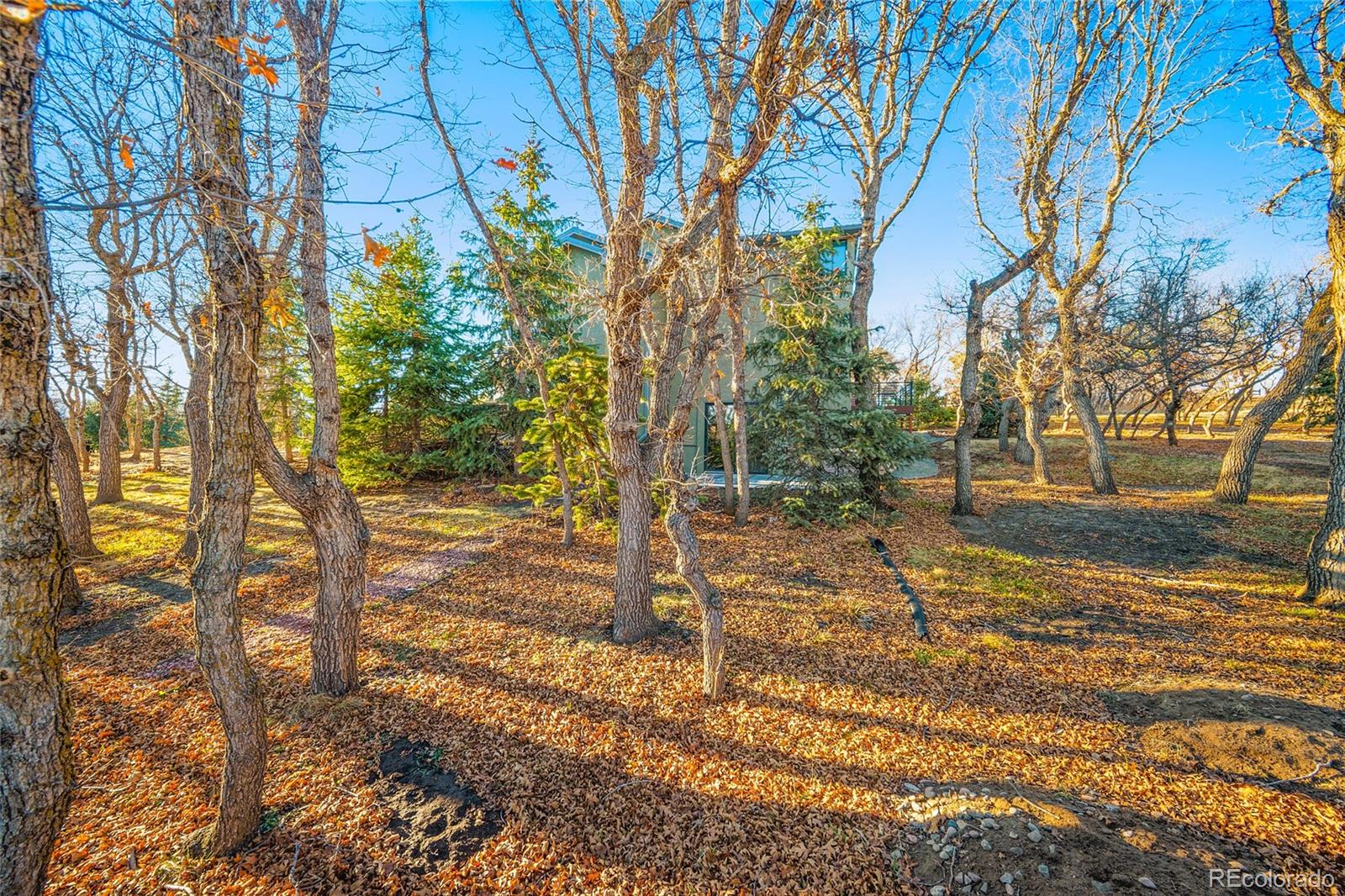 MLS Image #42 for 250  wuthering heights drive,colorado springs, Colorado