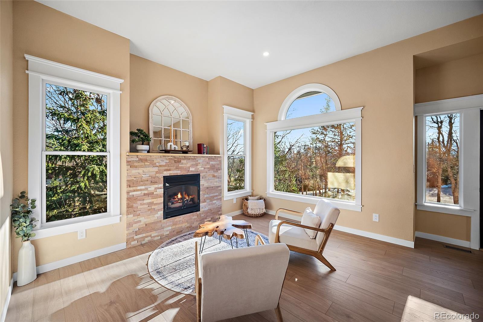 MLS Image #7 for 250  wuthering heights drive,colorado springs, Colorado