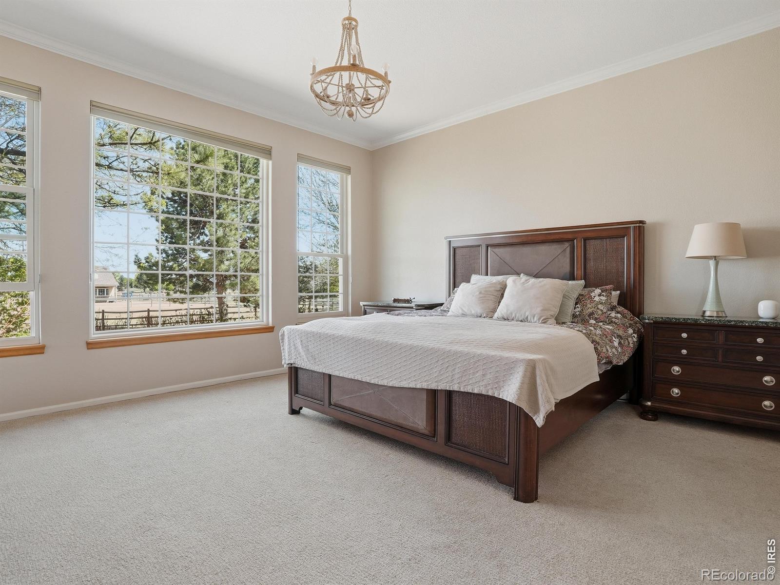 MLS Image #16 for 4364  haystack drive,windsor, Colorado