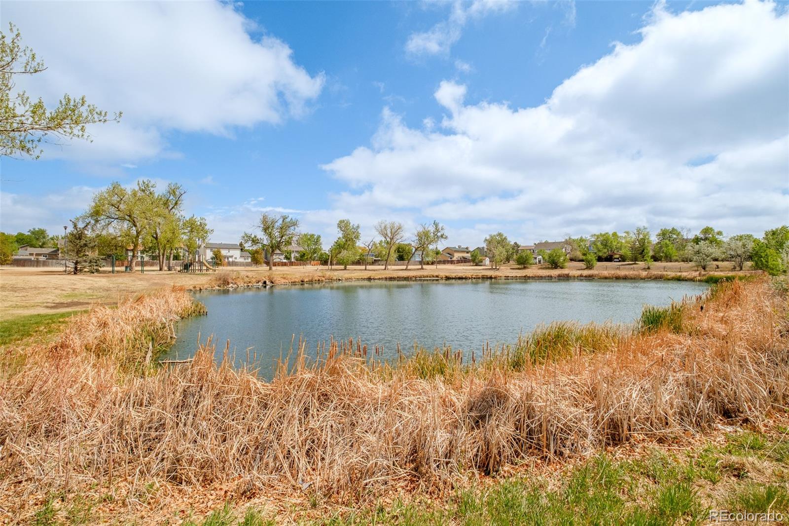 MLS Image #33 for 10037  clayton street,thornton, Colorado
