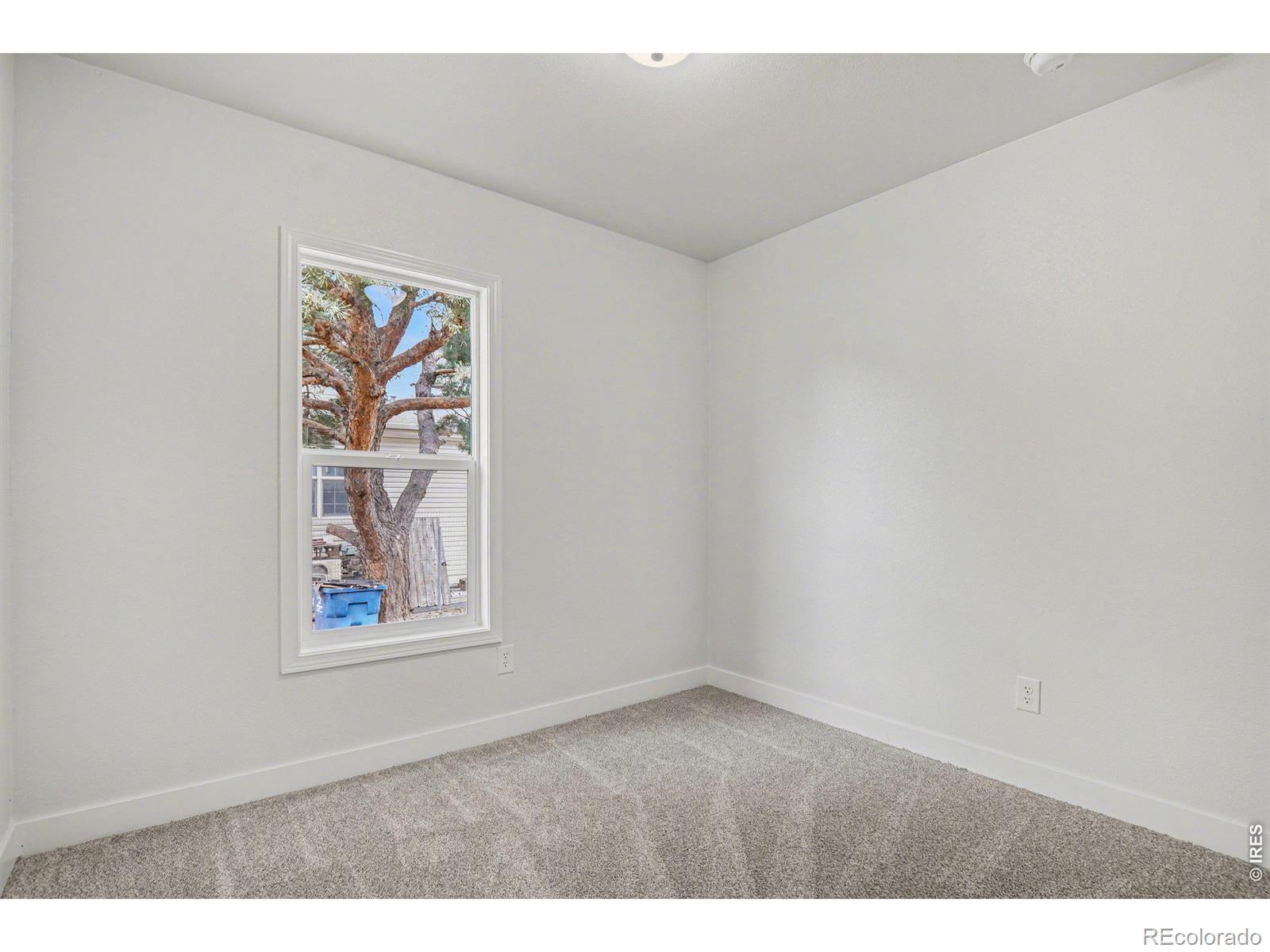 MLS Image #12 for 1203  lilac drive,lochbuie, Colorado