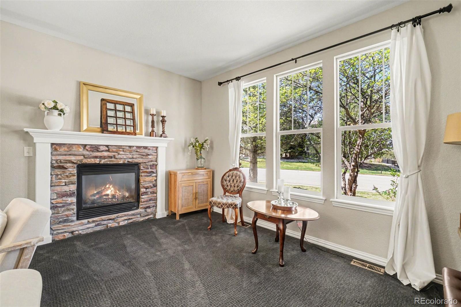 MLS Image #10 for 3470  sturbridge drive,highlands ranch, Colorado