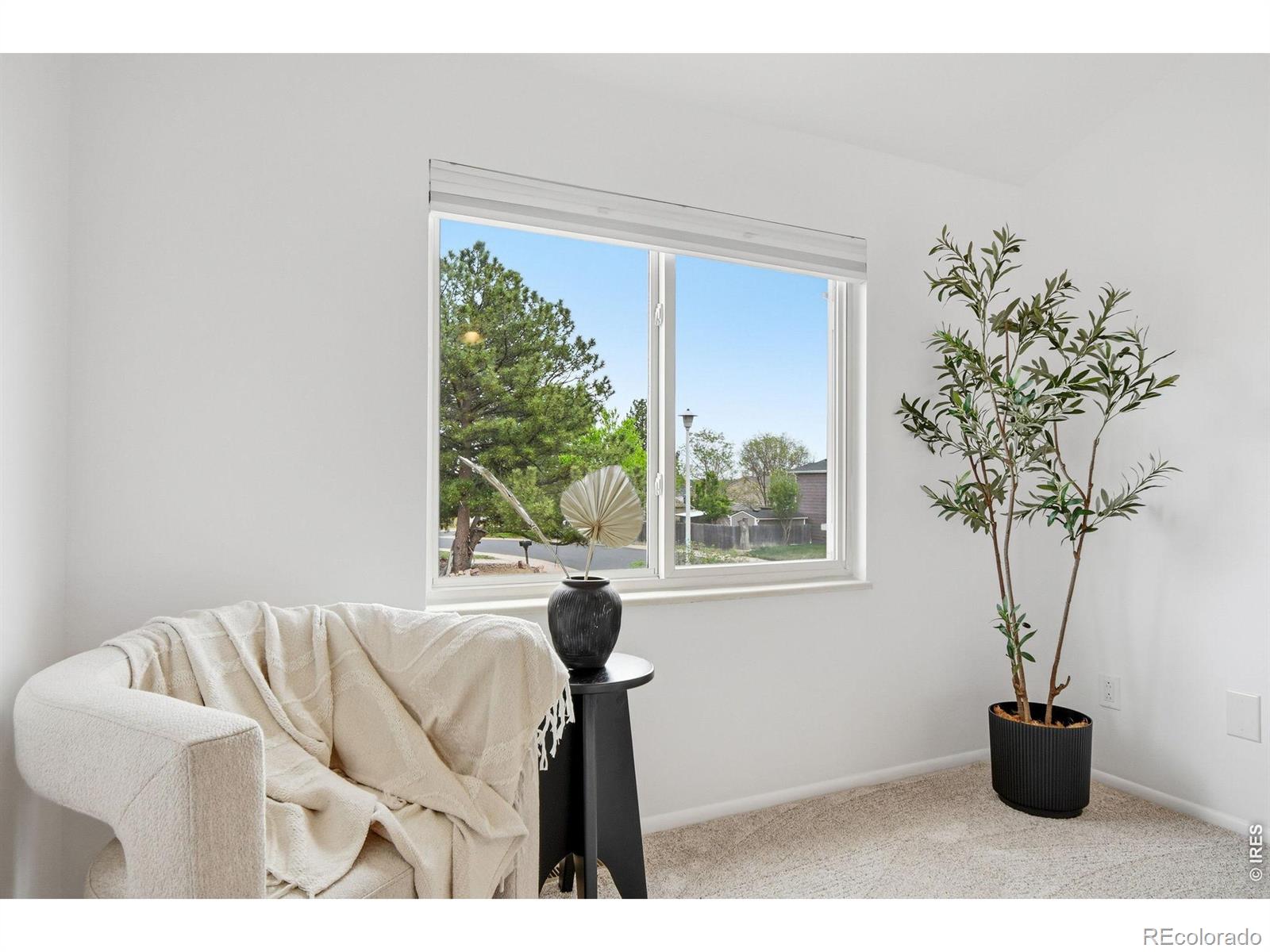 MLS Image #15 for 9233 w 100th circle,westminster, Colorado