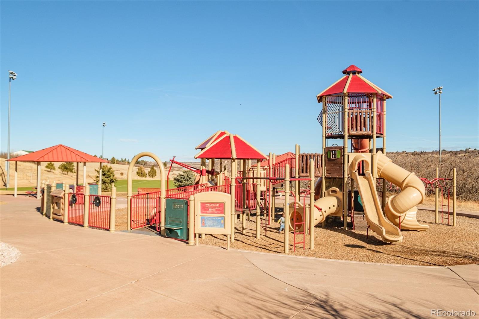 MLS Image #44 for 98  simmental loop,castle rock, Colorado