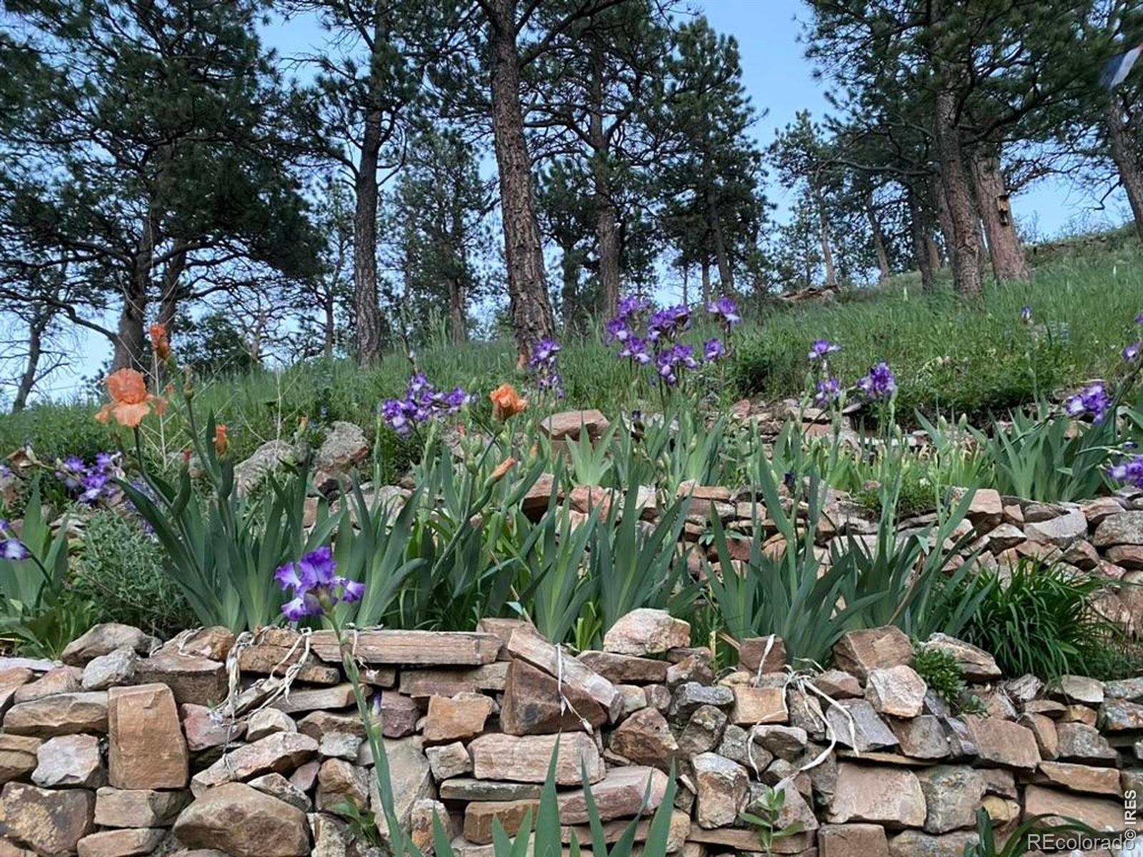 MLS Image #31 for 2706  crestridge court,boulder, Colorado