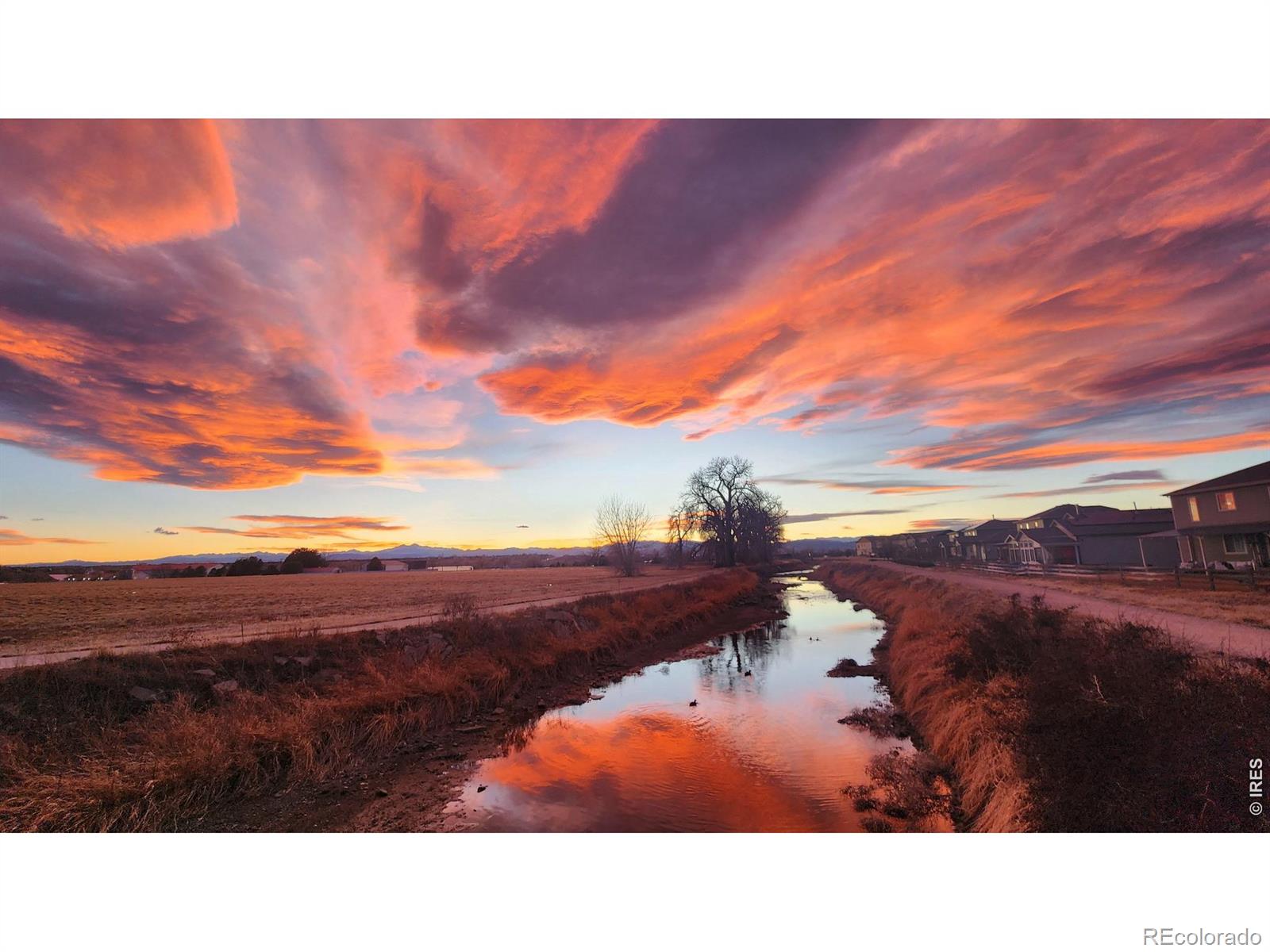 MLS Image #31 for 1637  stoll drive,windsor, Colorado