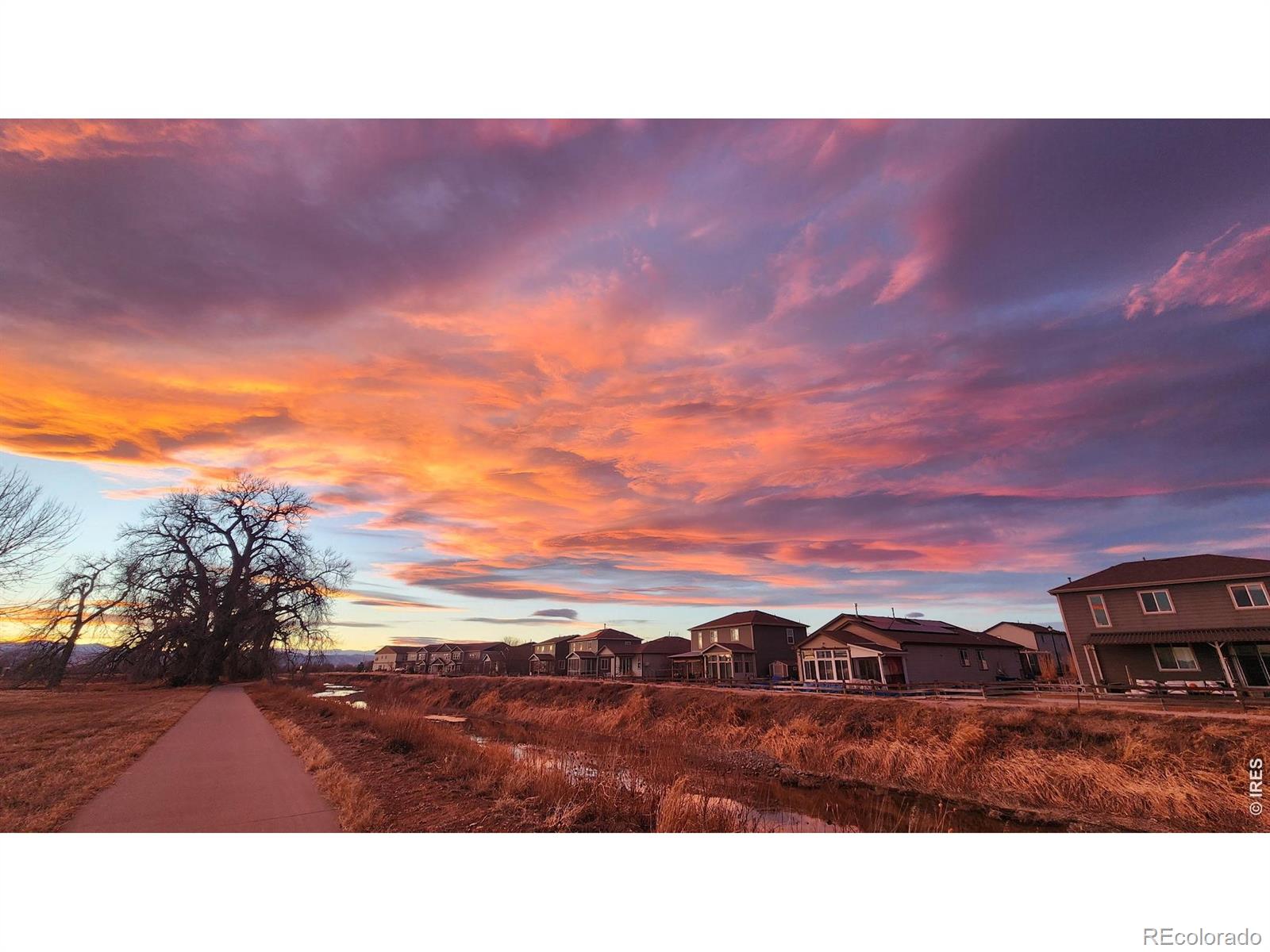 MLS Image #37 for 1637  stoll drive,windsor, Colorado