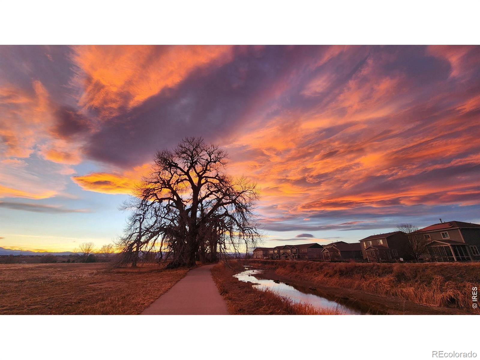 MLS Image #38 for 1637  stoll drive,windsor, Colorado