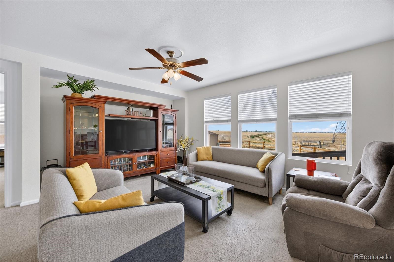 MLS Image #9 for 902  stagecoach avenue,brighton, Colorado