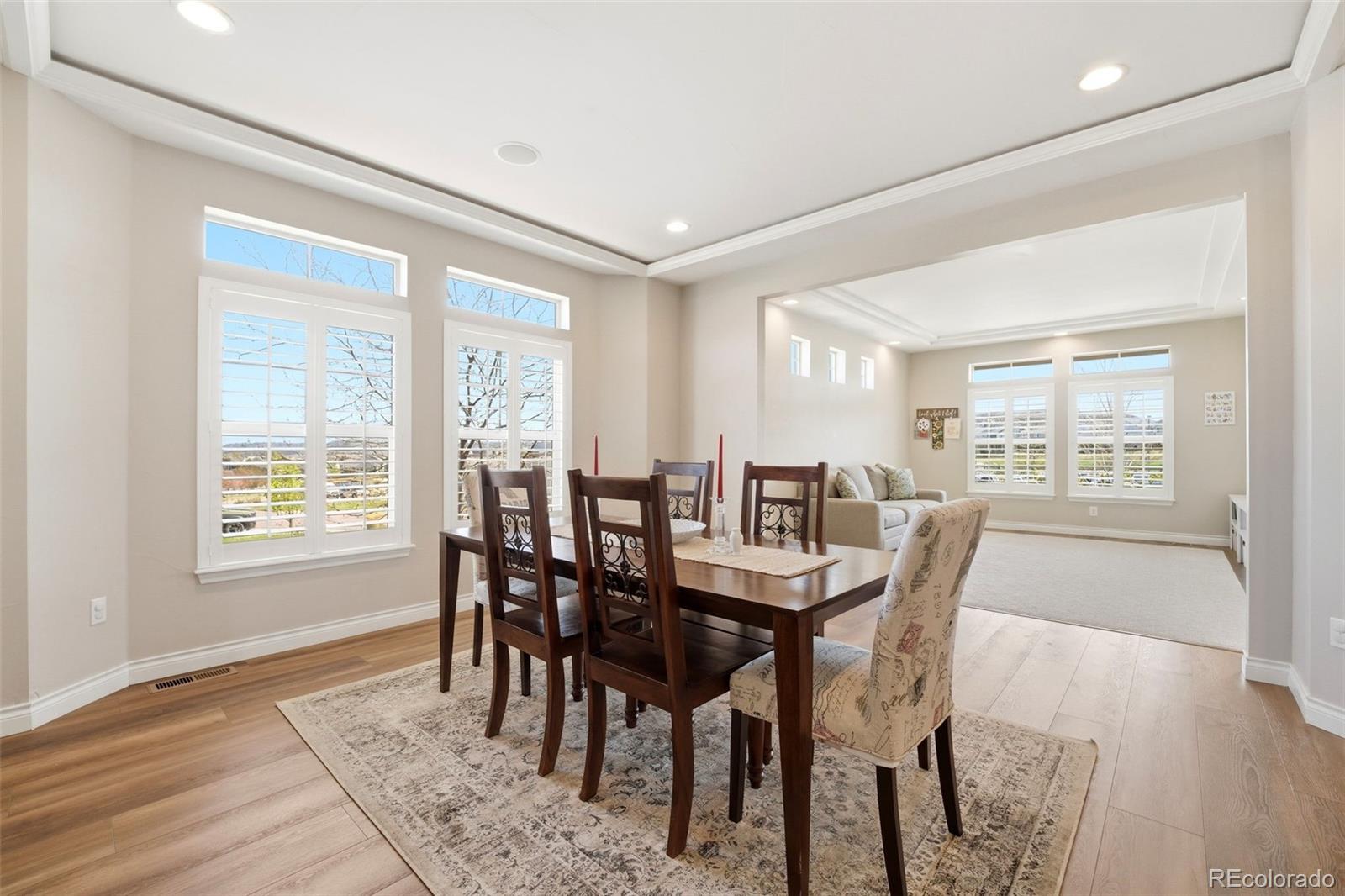 MLS Image #12 for 1449  clear sky way,castle rock, Colorado