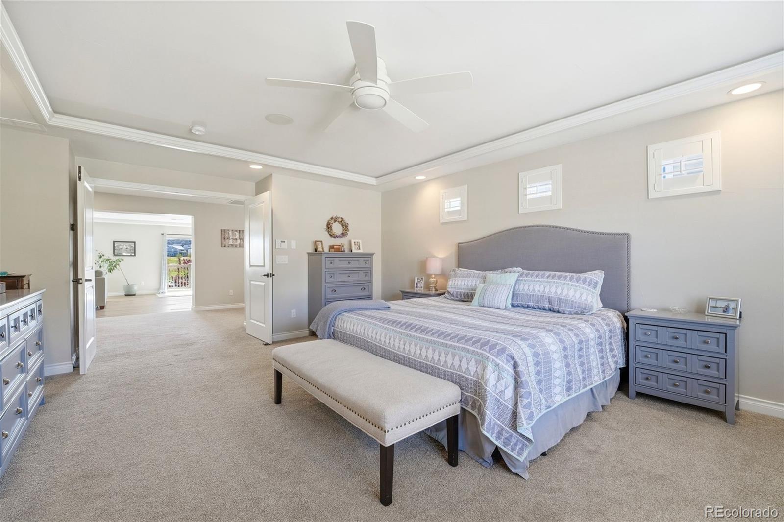 MLS Image #21 for 1449  clear sky way,castle rock, Colorado