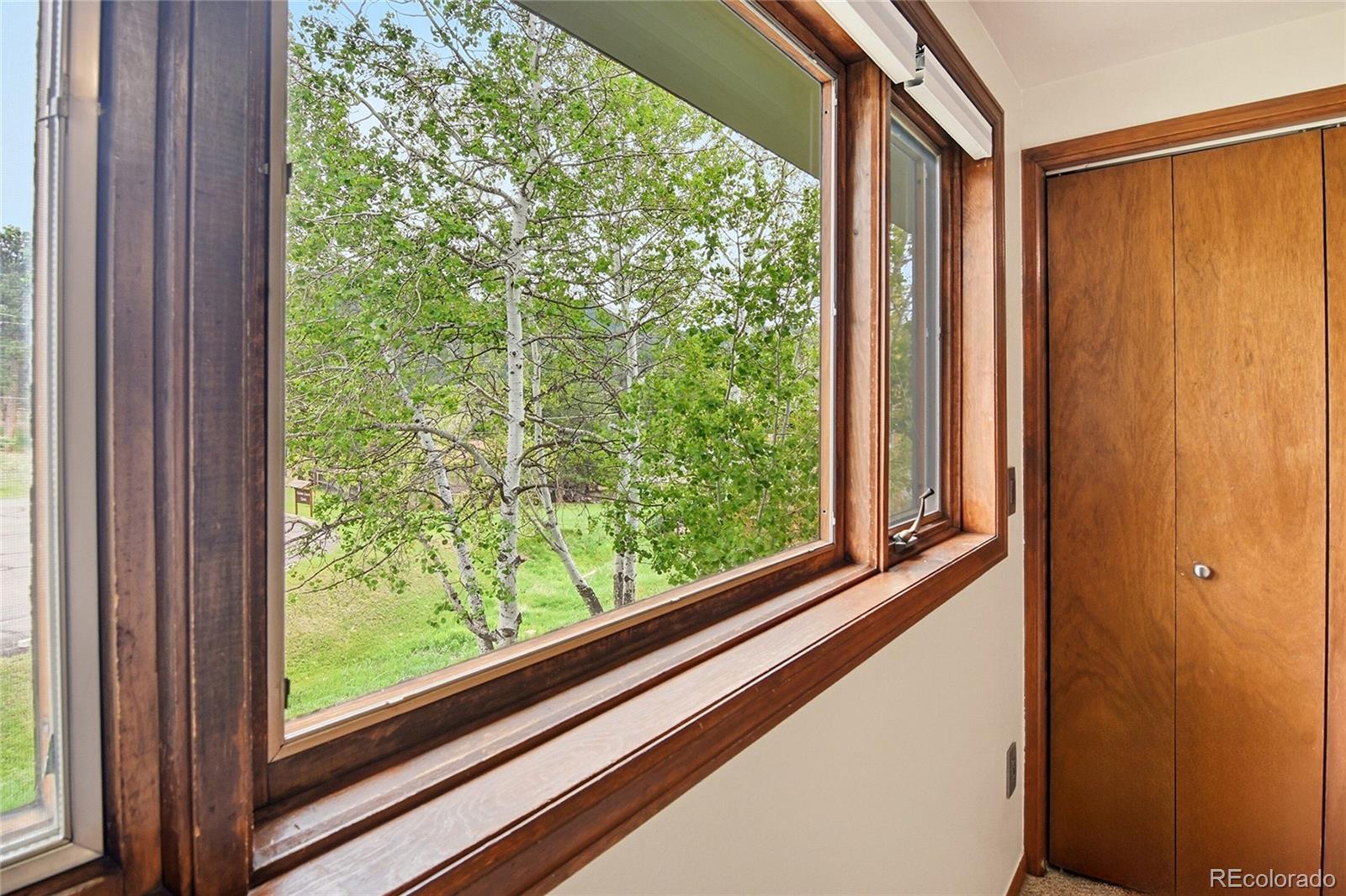 MLS Image #24 for 28248  harebell lane,evergreen, Colorado