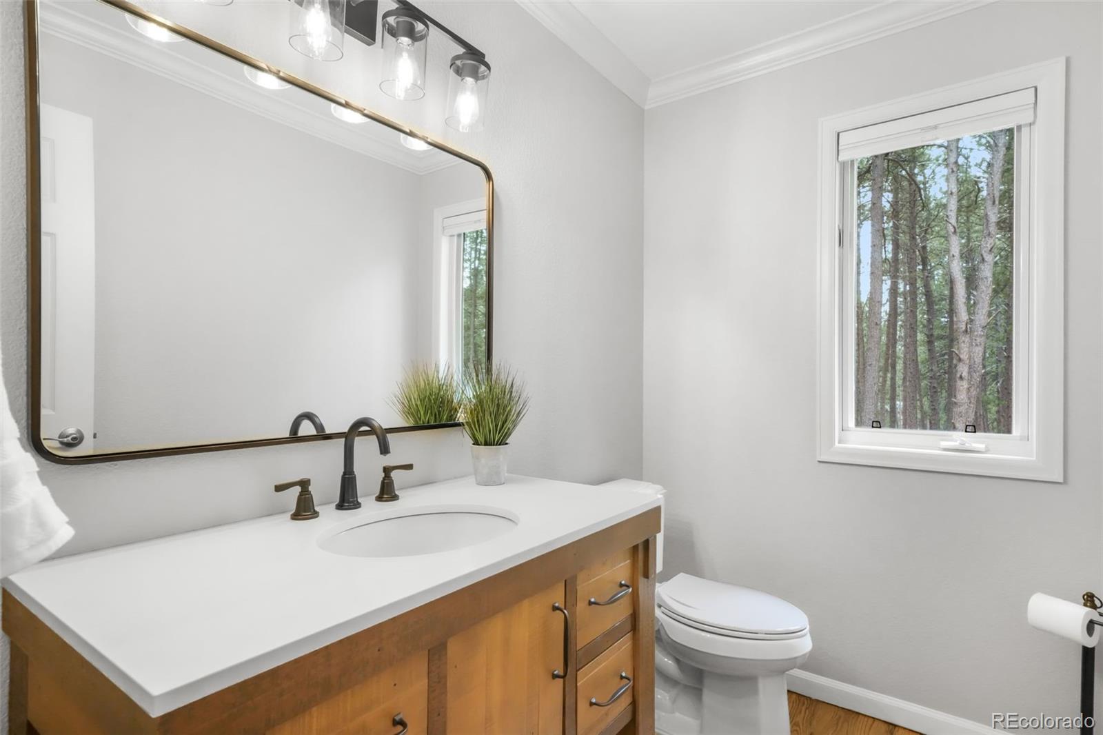 MLS Image #21 for 19010  deerfield road,monument, Colorado