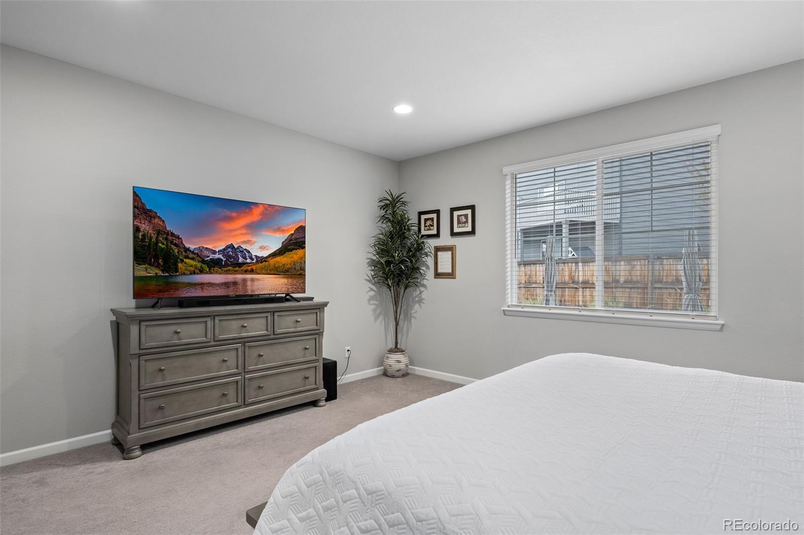 MLS Image #12 for 5795 s grand baker court,aurora, Colorado