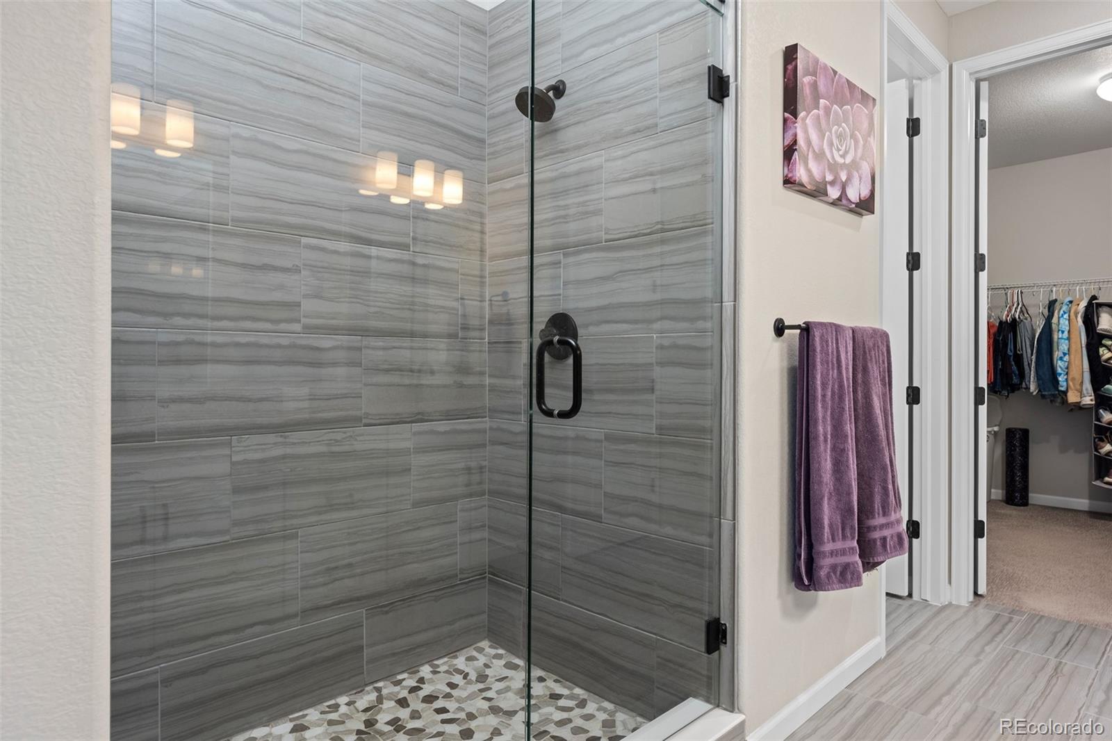 MLS Image #14 for 5795 s grand baker court,aurora, Colorado