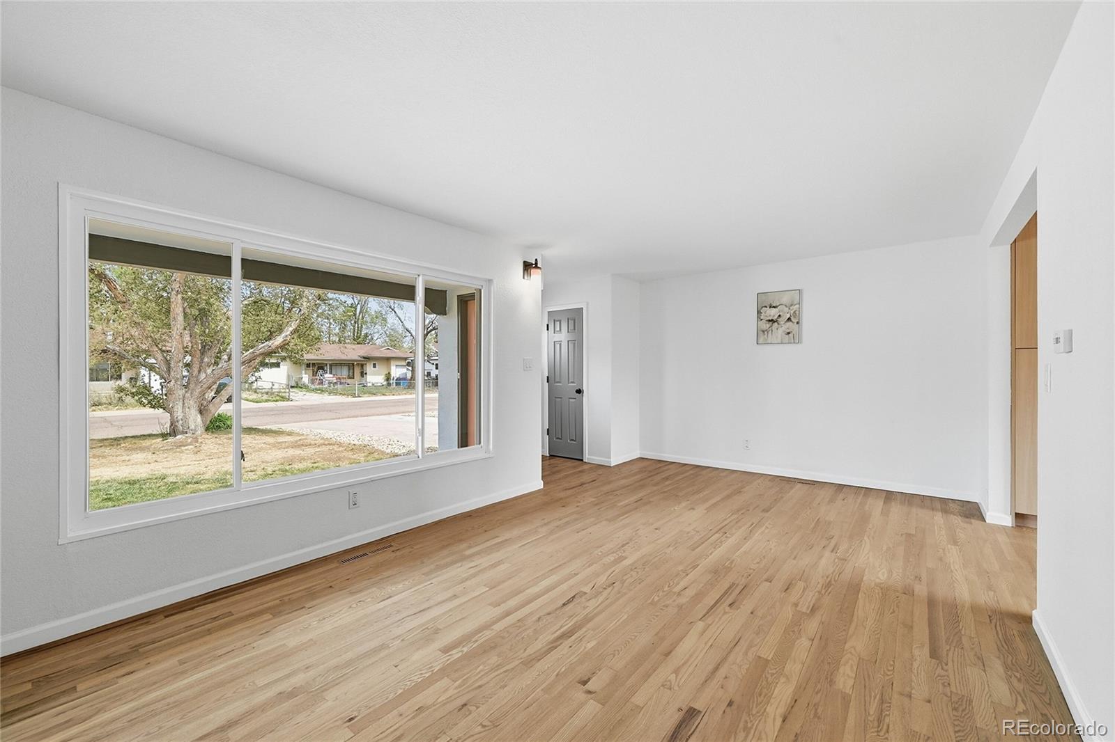 MLS Image #3 for 113  davie drive,colorado springs, Colorado