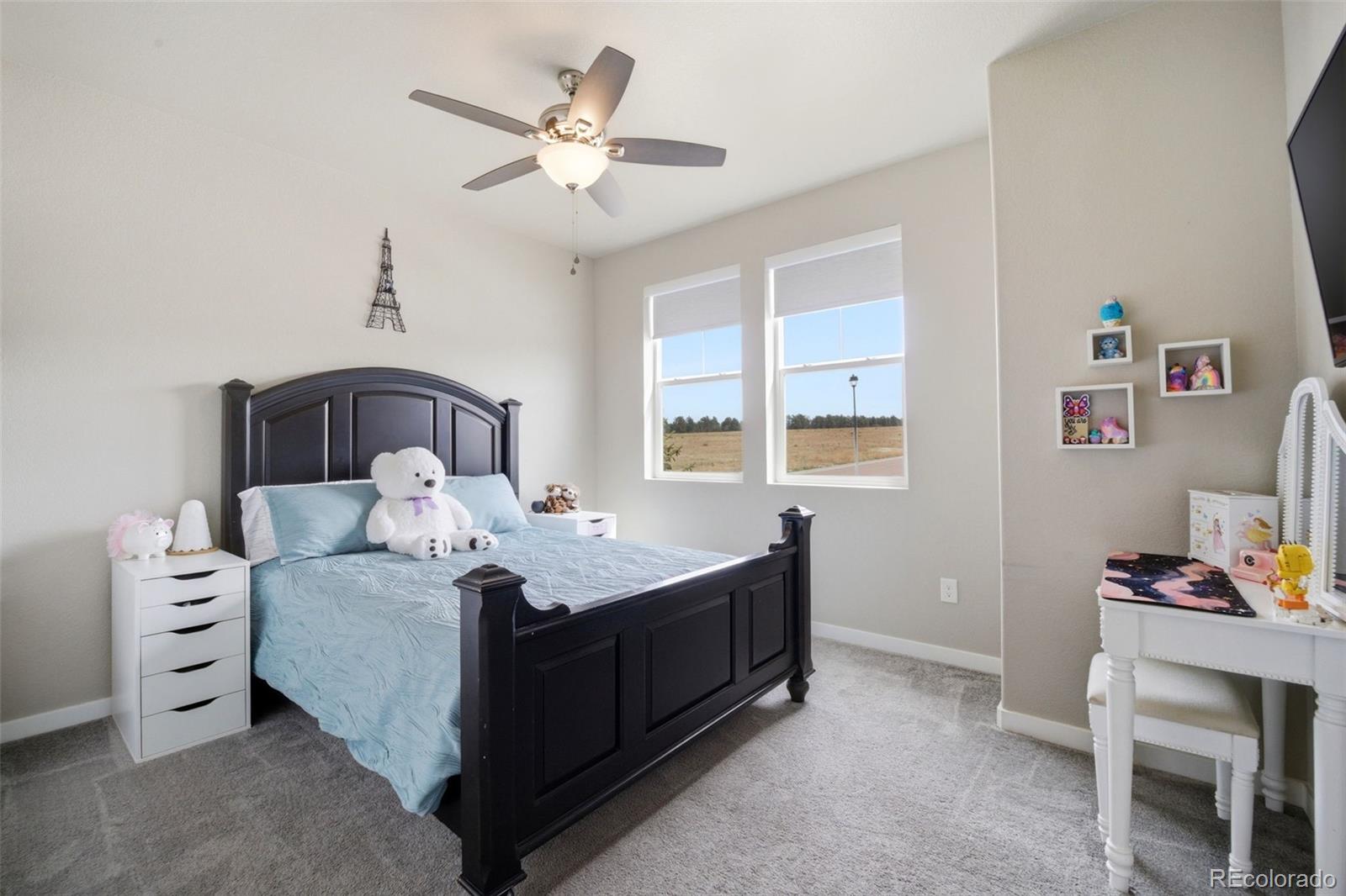 MLS Image #16 for 11184  tranquil water drive,colorado springs, Colorado