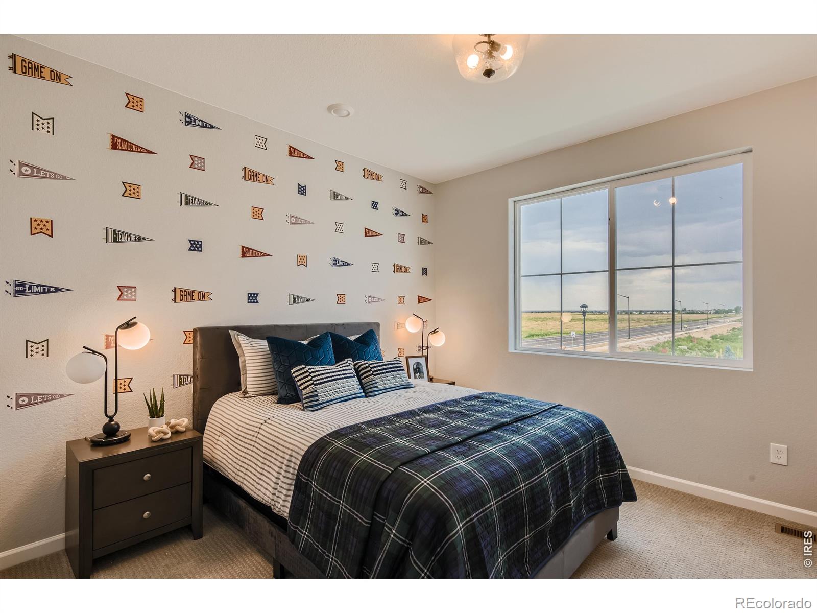 MLS Image #18 for 7336  arkansas street,frederick, Colorado