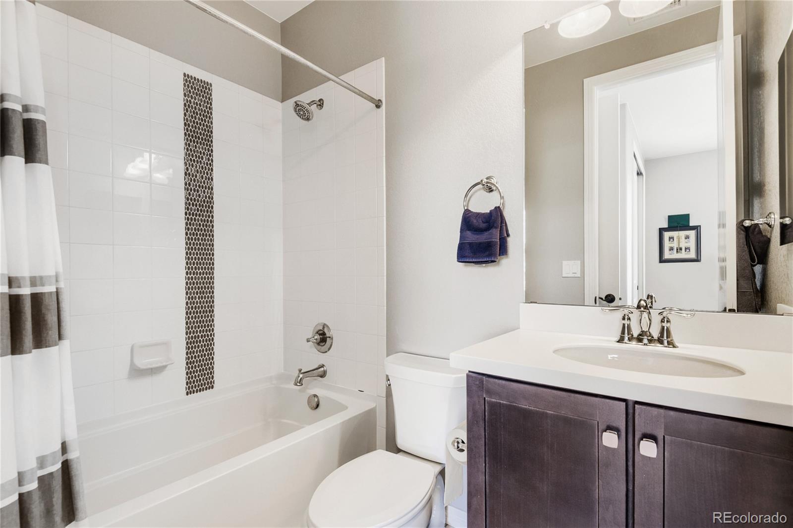MLS Image #19 for 10655  pine chase court,highlands ranch, Colorado