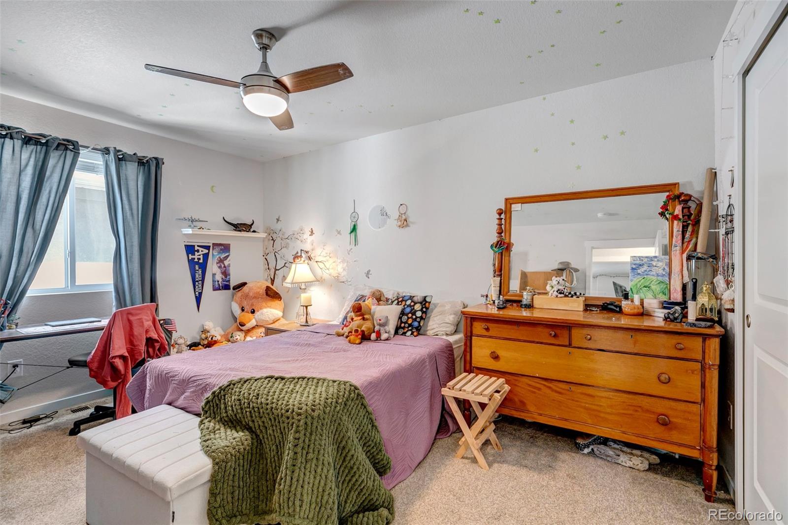 MLS Image #28 for 3258  red cavern road,colorado springs, Colorado