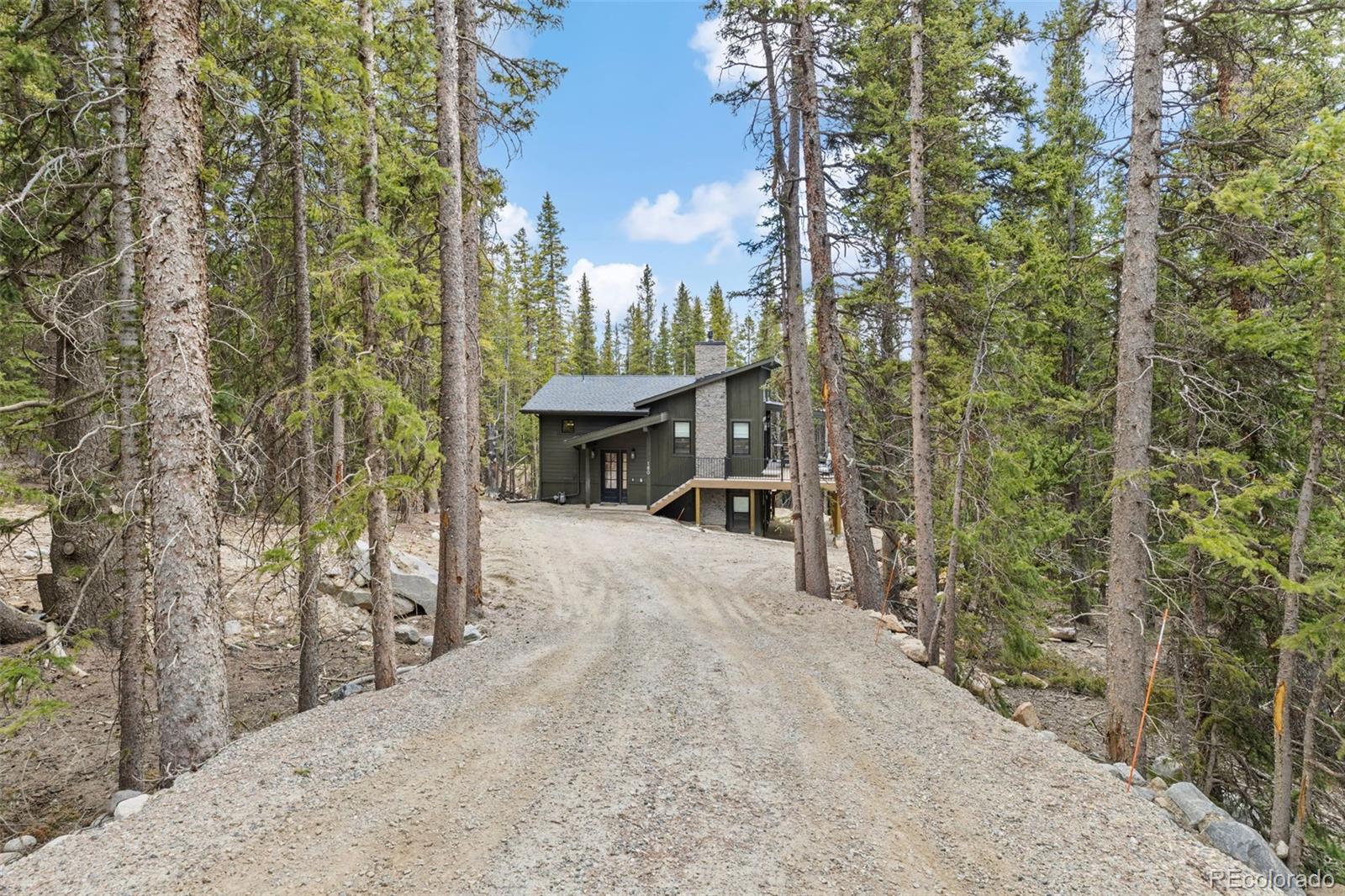 MLS Image #2 for 180  pine cone way,fairplay, Colorado