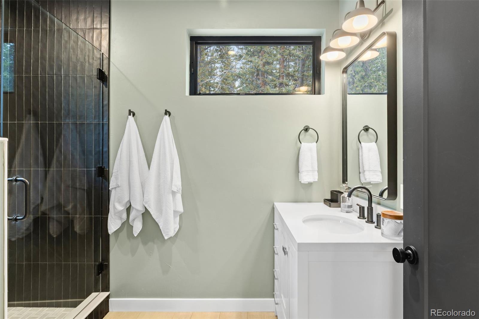 MLS Image #20 for 180  pine cone way,fairplay, Colorado
