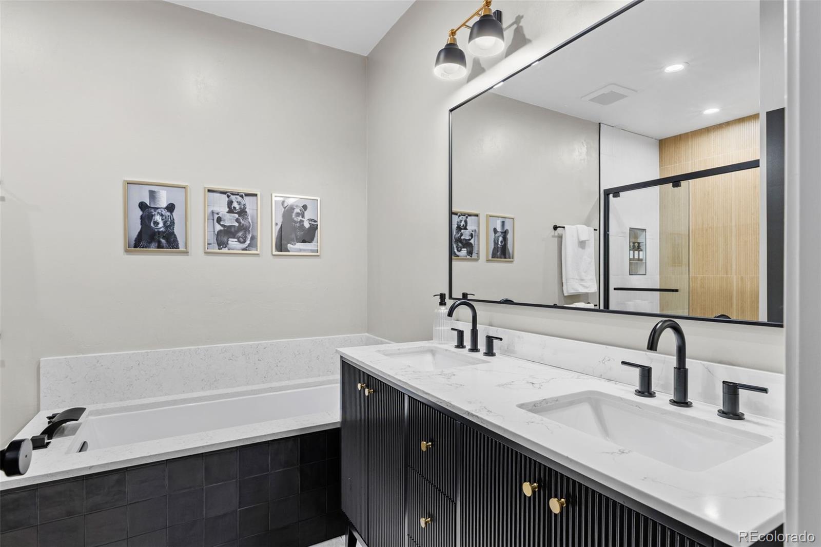 MLS Image #29 for 180  pine cone way,fairplay, Colorado