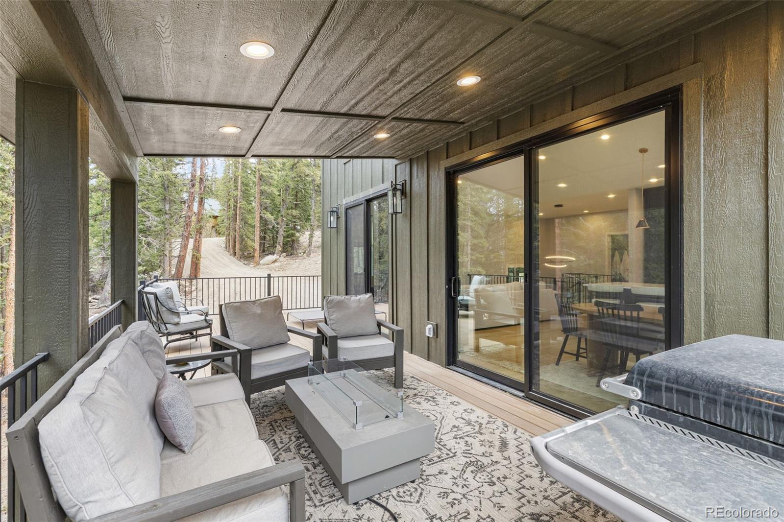 MLS Image #32 for 180  pine cone way,fairplay, Colorado