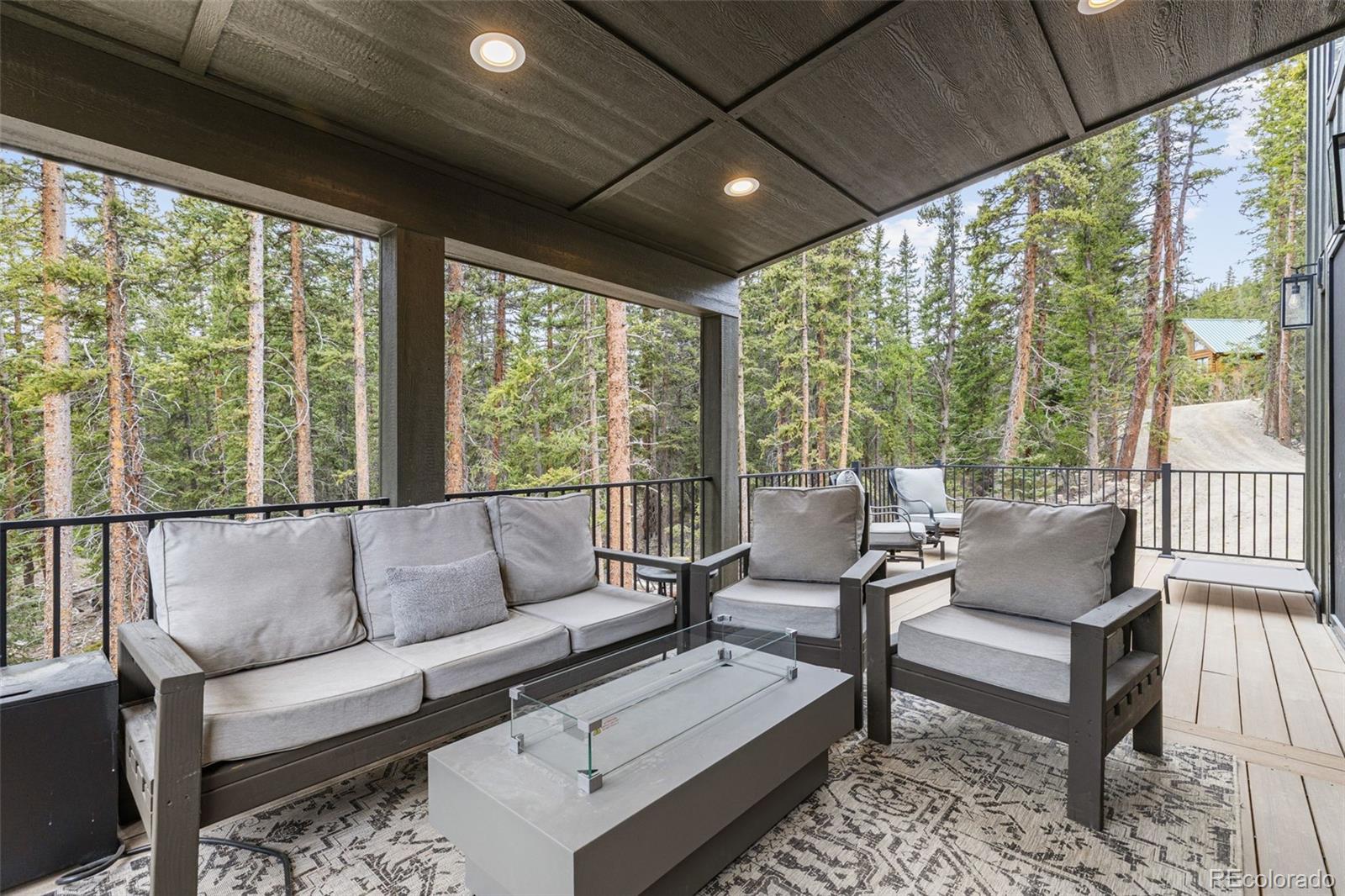 MLS Image #33 for 180  pine cone way,fairplay, Colorado