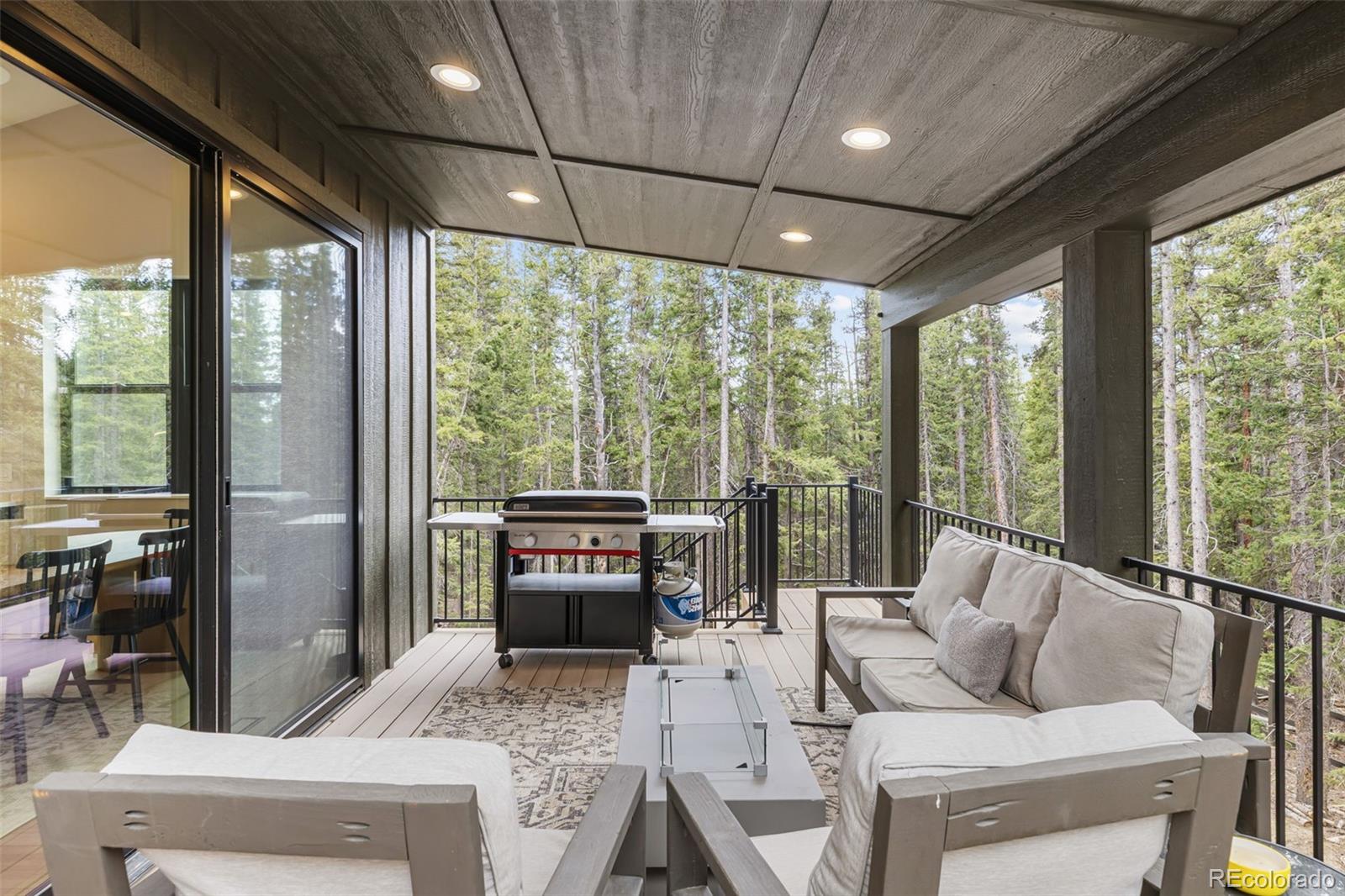 MLS Image #34 for 180  pine cone way,fairplay, Colorado