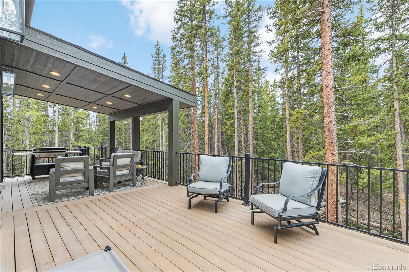 MLS Image #35 for 180  pine cone way,fairplay, Colorado