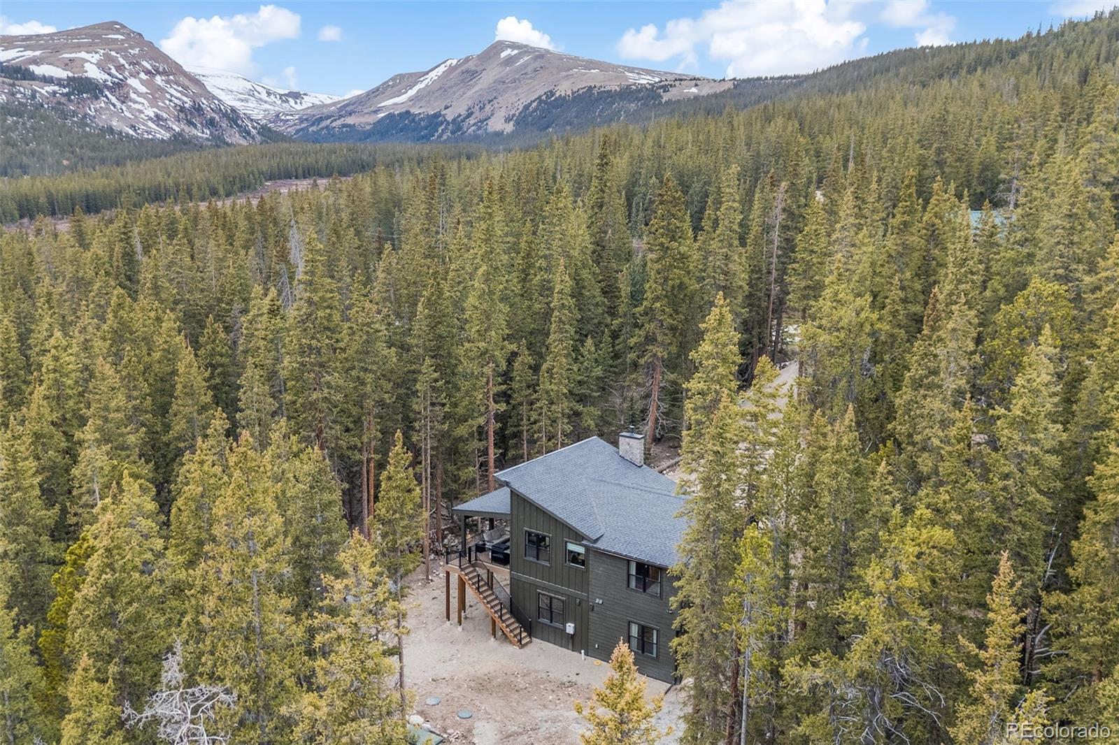 MLS Image #4 for 180  pine cone way,fairplay, Colorado